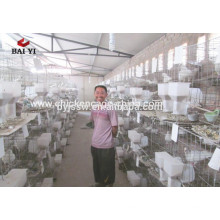 Pigeon Breeding Cage ( High Quallity, Competitive Price )